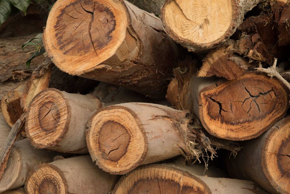 Négoce de bois près de Mâcon